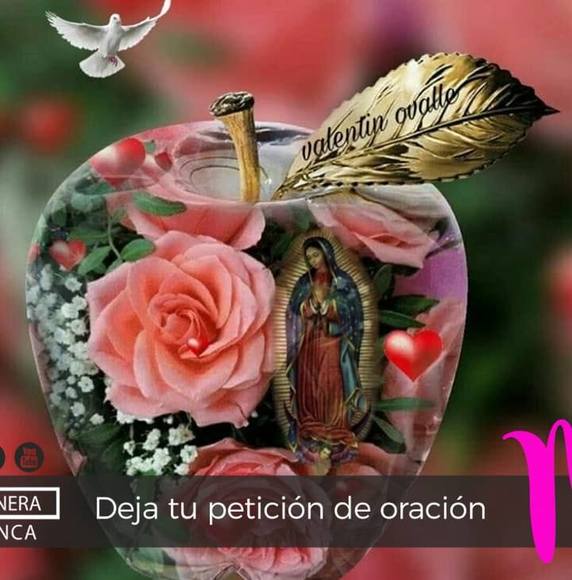 perezlauraa56